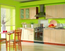 beautiful pistachio color in the decor of the apartment picture