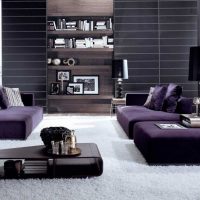 light living room interior in purple photo