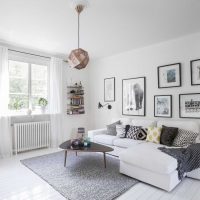 light decor swedish style apartment photo