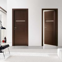 interior doors in the design of the room picture