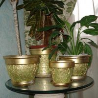 idea of ​​unusual design of flower pots picture