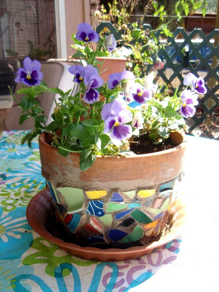 variant of beautiful decoration of flower pots