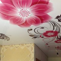 décoration de plafond lumineux avec photo supplémentaire