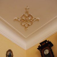 beautiful ceiling decoration patterned picture