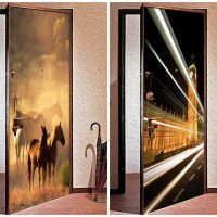 unusual decoration of interior doors with your own hands photo