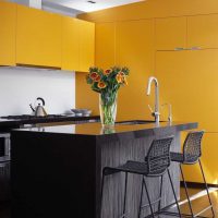 unusual design of the apartment in mustard color picture
