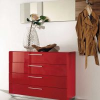 beautiful design of the cabinet with your own hands picture
