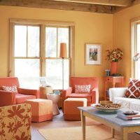 combinazione di arancione chiaro nel design dell'appartamento con foto di altri colori