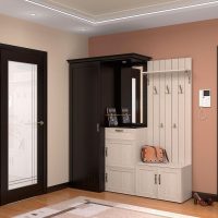 interior doors in the living room decor picture