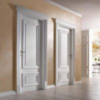 light doors in home design photo