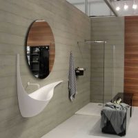 l'idea di intonaco decorativo luminoso nel design dell'immagine del bagno