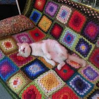 crocheted covers in the decor of the living room photo