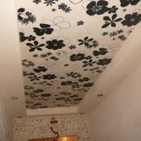 beautiful ceiling decoration print picture