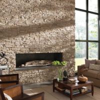 the idea of ​​an unusual decorative stone in the design of the apartment picture