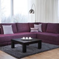 versione del design moderno del soggiorno con un'immagine del divano