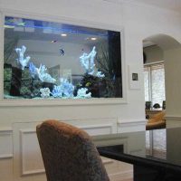 the idea of ​​a beautiful home aquarium decoration picture