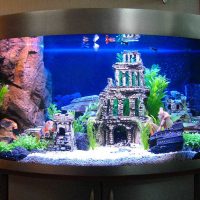 the idea of ​​a beautiful design of a home aquarium photo