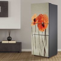 the idea of ​​a beautiful refrigerator design picture