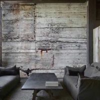 the idea of ​​a beautiful decorative plaster in the style of the living room under concrete photo