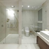 idea of ​​an unusual style of a bathroom photo
