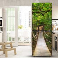 variant of the bright decoration of the refrigerator in the kitchen photo