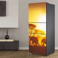 the idea of ​​a bright fridge photo design