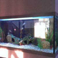 option bright decoration home aquarium picture