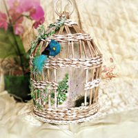 version of a beautiful apartment style with a decorative cage photo
