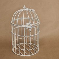 idea of ​​an unusual facade of a room with a decorative cage picture