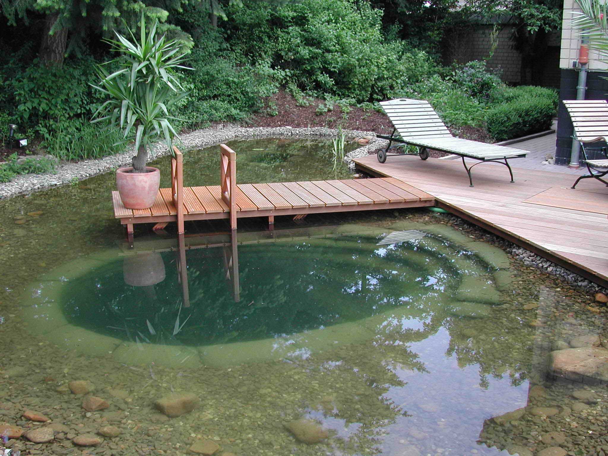 idea of ​​the original design of a small pool