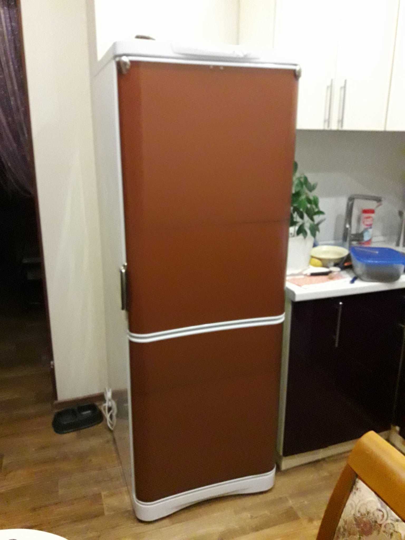 the idea of ​​bright design of the refrigerator