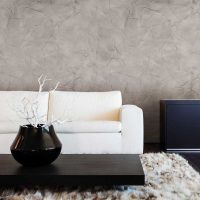 version of beautiful decorative plaster in the style of an apartment for concrete photo