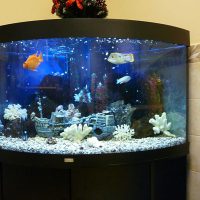 The idea of ​​a bright design of a home aquarium photo