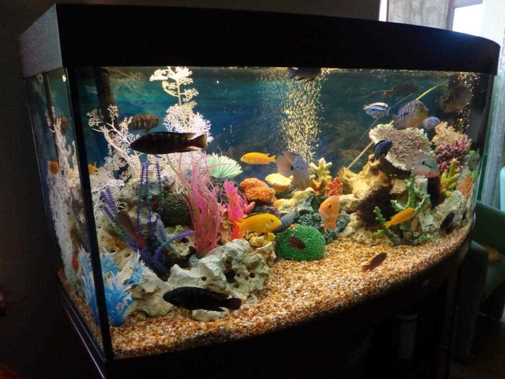 idea of ​​original aquarium decoration