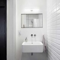 idea of ​​the original interior of a white bathroom picture