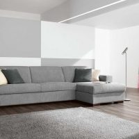 the idea of ​​a beautiful living room decor with a sofa picture