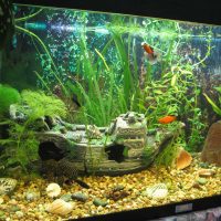 the idea of ​​a beautiful decoration of a home aquarium photo
