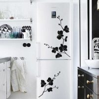 option of beautiful design of the refrigerator picture