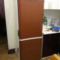 idée de décoration lumineuse du réfrigérateur dans la photo de la cuisine