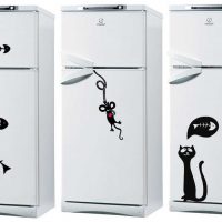 l'idée du design original du réfrigérateur dans la photo de la cuisine