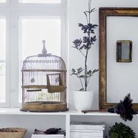 the idea of ​​a bright apartment design with a decorative photo cage