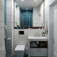 version of the bright style of the bathroom 3 sq.m photo