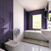 variante du design lumineux de la salle de bain avec une fenêtre photo