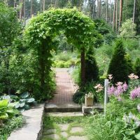 variant of beautiful landscape design of the photo plot