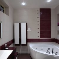 opzione di bel design di una grande foto del bagno
