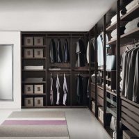 idea of ​​a modern interior wardrobe picture