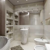 l'idée d'un style lumineux de la salle de bain dans une photo de style classique