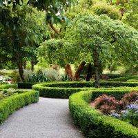 variant of unusual landscaping of the garden picture