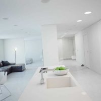 versione del design luminoso del soggiorno nello stile del minimalismo fotografico