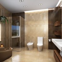 un esempio di uno stile insolito di un bagno in un'immagine a colori beige